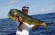 /plume/xmedia/thumb/fishing1_thumb.jpg