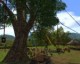 /plume/xmedia/tolkien/jeux/thumb/Bilbo_party01_thumb.jpg