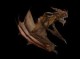 /plume/xmedia/tolkien/jeux/thumb/Drake_1280_thumb.jpg