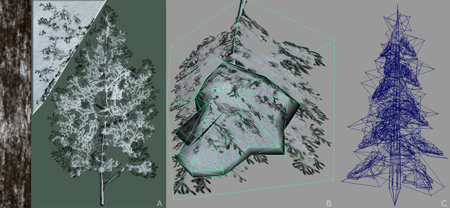 Processus d'enneigement des arbres