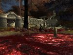 redswamp