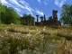 /plume/xmedia/tolkien/jeux/thumb/sda-online-archet1_thumb.jpg