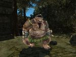 Troll