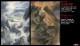 /plume/xmedia/tolkien/parutions/thumb/Turin2AlanLee_thumb.jpg