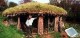 /plume/xmedia/tolkien/thumb/GreenHouse_thumb.jpg