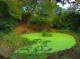 /plume/xmedia/tolkien/thumb/tolkien-moseley-bog_thumb.jpg