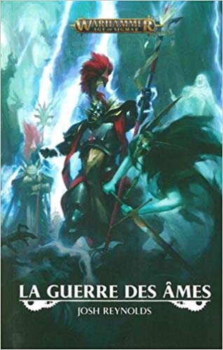 Chronique de La Guerre des âmes