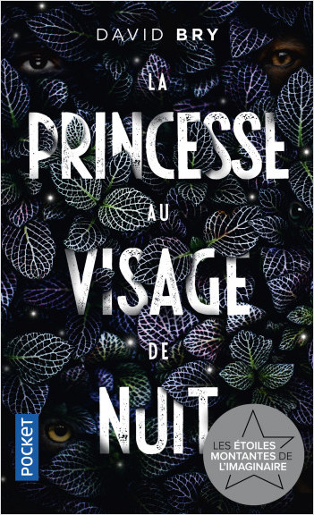 Chronique de La Princesse au visage de nuit