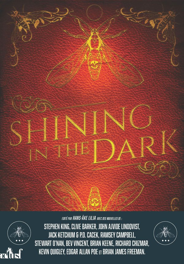 Chronique de Shining in the Dark