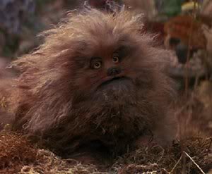 Fizzgig